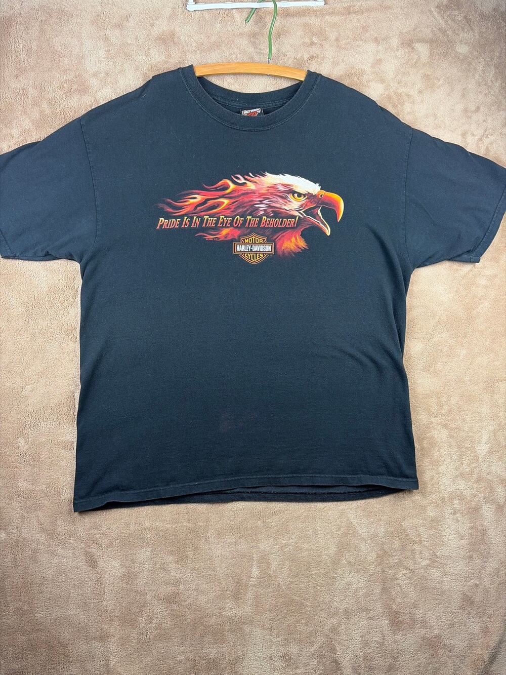 Vintage Y2K Harley Davidson Pride Is In The Eye Of The Beholder Eagle Shirt XL